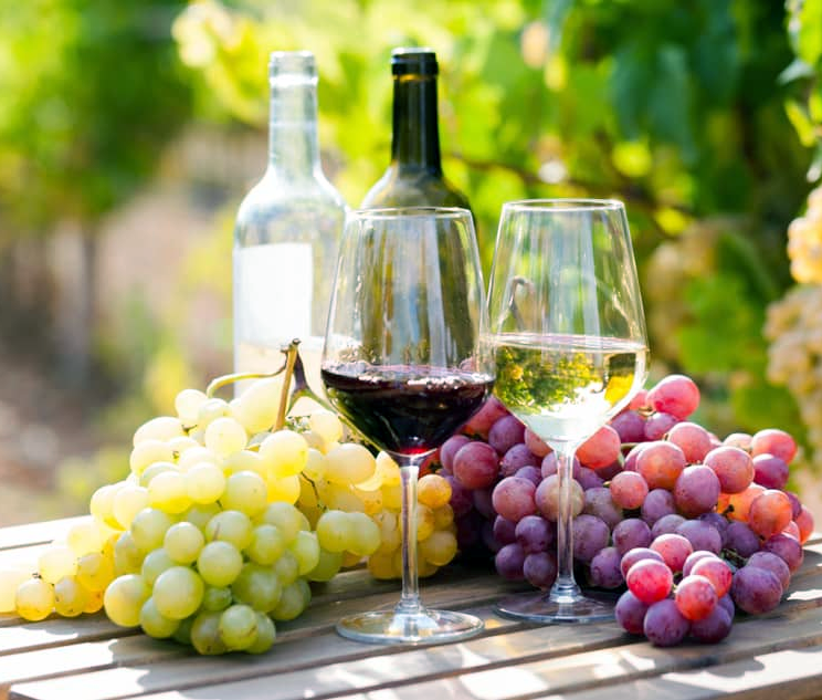 vino 01